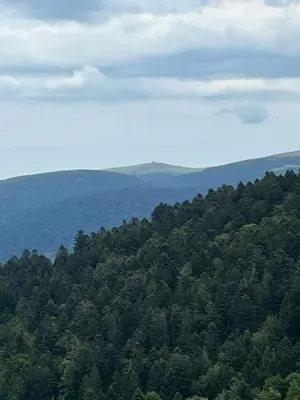 Paysage naturel près de l'appartement