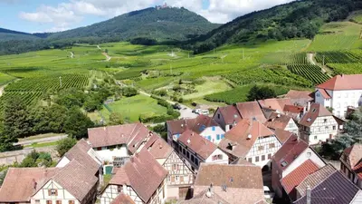 Plan de l'établissement FERME au pied du Haut Koenigsbourg 1