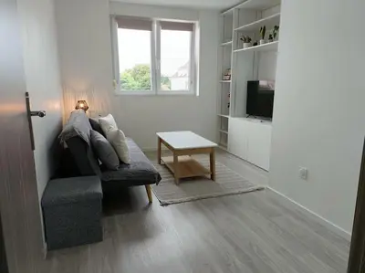 Télévision ou salle de divertissement dans l'établissement Appartement entier F3 rénové - Petite pause à Sélestat