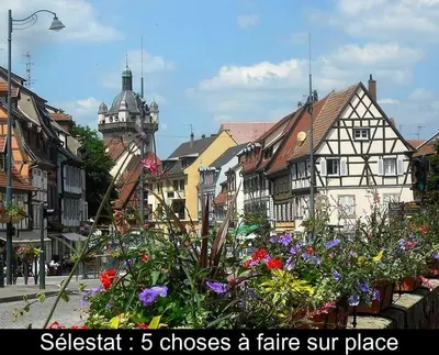 Plan de l'établissement Gîte Le Marronnier, parking et terrasse au calme, entre Colmar-Riquewihr et Obernai, vue sur espaces verts et coteaux d Alsace, route du vin-châteaux