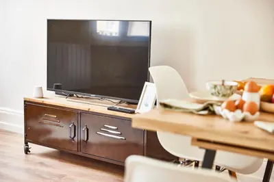 Télévision ou salle de divertissement dans l'établissement RI-2 Charmant et spacieux 3 pièces tout confort à Mulhouse centre