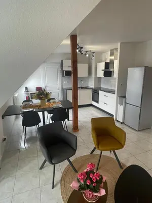 Cuisine ou kitchenette dans l'établissement Le Square Appartement spacieux F2 avec terrasse, garage près de Colmar