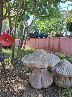 Jardin de l'établissement Olympe