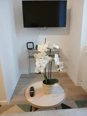Télévision ou salle de divertissement dans l'établissement T1 