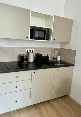Cuisine ou kitchenette dans l'établissement Le cocon Mulhouse