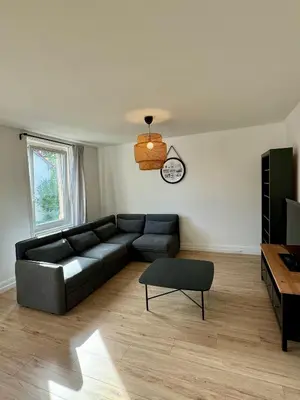 Télévision ou salle de divertissement dans l'établissement Charmant Appartement Mulhouse