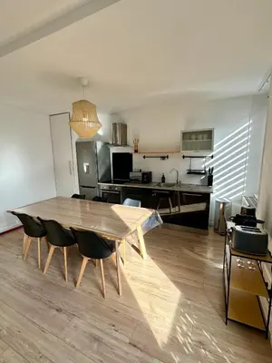 Cuisine ou kitchenette dans l'établissement Charmant Appartement Mulhouse