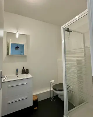 Salle de bains dans l'établissement Charmant Appartement Mulhouse
