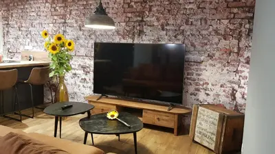 Télévision ou salle de divertissement dans l'établissement L'Escale d'Alsace