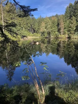 Paysage naturel près de la maison de vacances