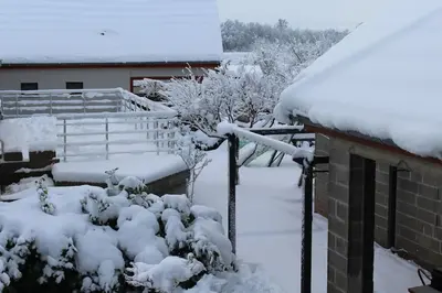 L'établissement Garte Hiesel la maison de jardin Piscine été 2026 en hiver
