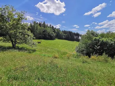 Paysage naturel près de la tente de luxe