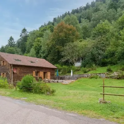 La Ferme aux Myrtilles - Ancienne ferme vosgienne