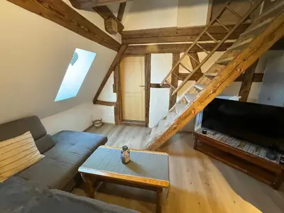 Télévision ou salle de divertissement dans l'établissement Gite Premium au grenier de l'Ours