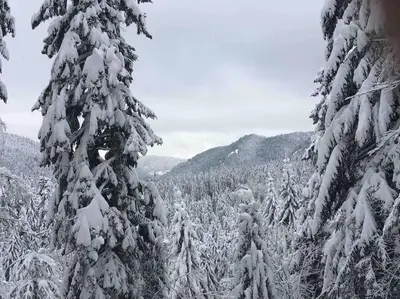L'établissement L'appart des familles sportives! en hiver