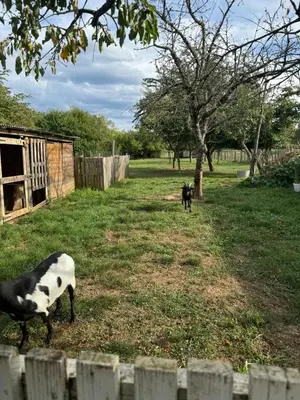 Jardin de l'établissement Chez Nath