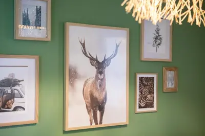 Animaux dans le chalet ou à proximité