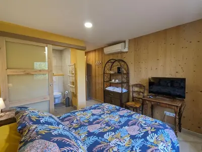 Télévision ou salle de divertissement dans l'établissement Chambre climatisée avec salle d'eau privative et accès jardin - FR-1-589-664