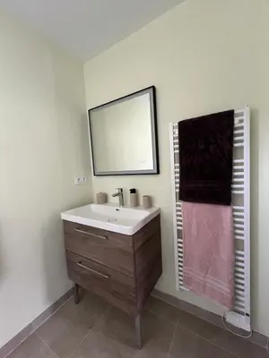 Salle de bains dans l'établissement LA VALENTINE Love room GITES DES 3 LAVOIRS
