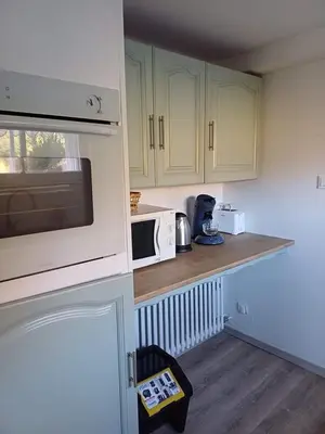 Cuisine ou kitchenette dans l'établissement le studio