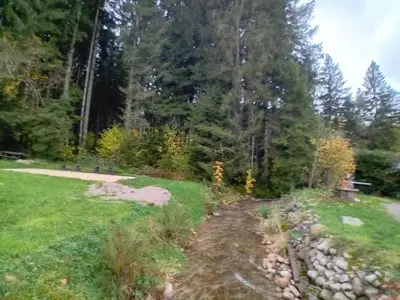 Paysage naturel près de le chalet