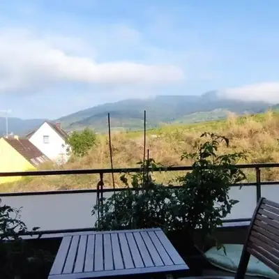 Au cœur du vignoble