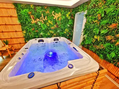 Plan de l'établissement JUNGLE SPA-4 Pers-Jacuzzi-Parking-Jardin-Clim-Colmar