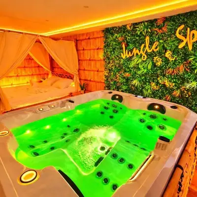 JUNGLE SPA-4 Pers-Jacuzzi-Parking-Jardin-Clim-Colmar
