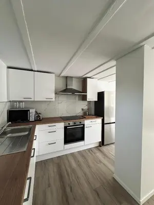 Cuisine ou kitchenette dans l'établissement Le Parc 96 - Gîte aux Portes de Colmar