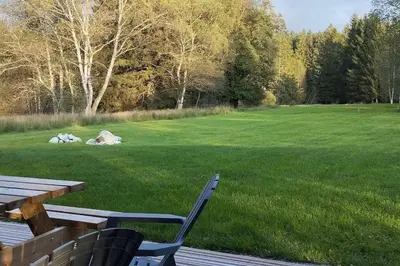 Jardin de l'établissement Chalet à louer, Spa, sauna, billard, gerardmer