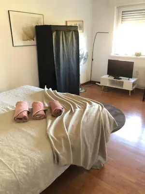 Un ou plusieurs lits dans un hébergement de l'établissement Studio 7'4 - proche frontière de Bâle