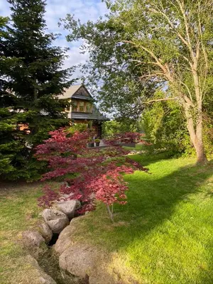 Jardin de l'établissement Datchas Lodges