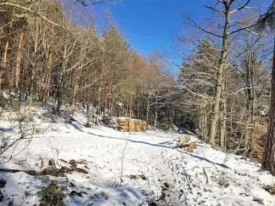 L'établissement Studio en résidence, aux Trois-Epis en hiver