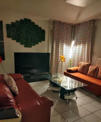 Coin salon dans l'établissement Appartement T3 proche de Bâle