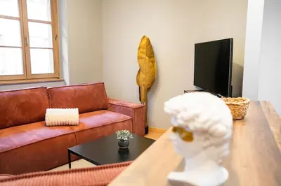 Télévision ou salle de divertissement dans l'établissement Le Roi Lion Colmar Centre parking gratuit