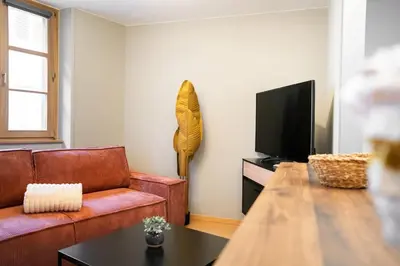 Télévision ou salle de divertissement dans l'établissement Le Roi Lion Colmar Centre parking gratuit