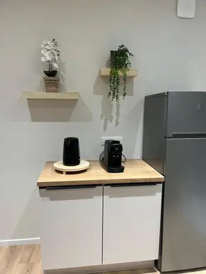 Cuisine ou kitchenette dans l'établissement Colmar Centre - Le Schickele - garage privé - climatisé