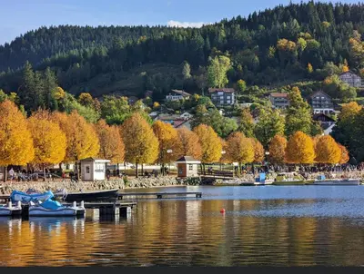 Paysage naturel près de l'appartement