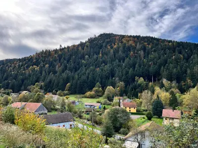 Paysage naturel près de le chalet