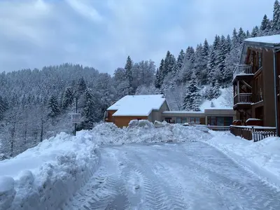 L'établissement Appartement moderne à La Bresse, 2 chambres, accès PMR - FR-1-589-687 en hiver
