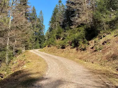 Paysage naturel près de la maison de vacances