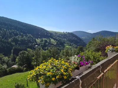 Paysage naturel près de le B&B/chambre d'hôtes
