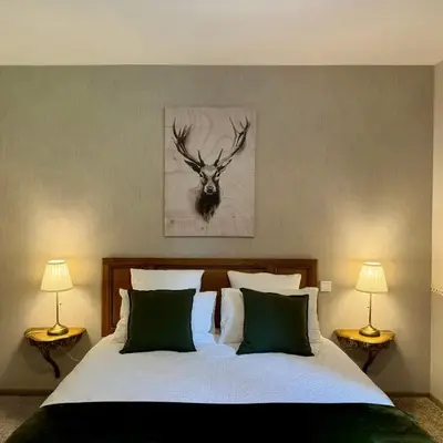 Chambre Forêt
