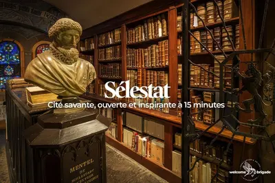 Bibliothèque dans l'appartement