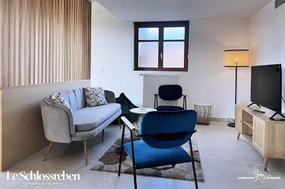 Télévision ou salle de divertissement dans l'établissement Le Schlossreben - La Maison des Vignerons
