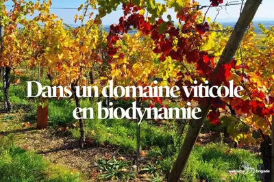 Jardin de l'établissement Le Schlossreben - La Maison des Vignerons