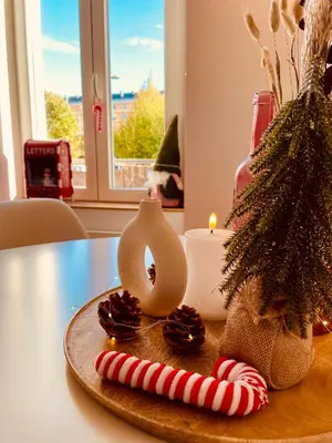 Plan de l'établissement 002 - Évasion dans un appartement élégant à Belfort