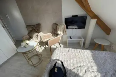 Télévision ou salle de divertissement dans l'établissement Esprit Palace, coeur de Mulhouse