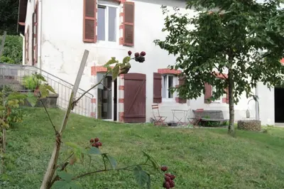Jardin de l'établissement Studio avec jardin Centre ville