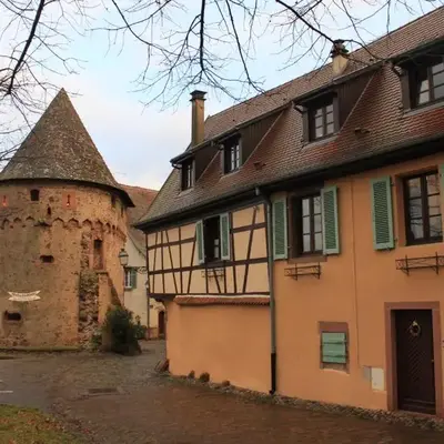 Plein Sud vue sur les Vosges et le vignoble